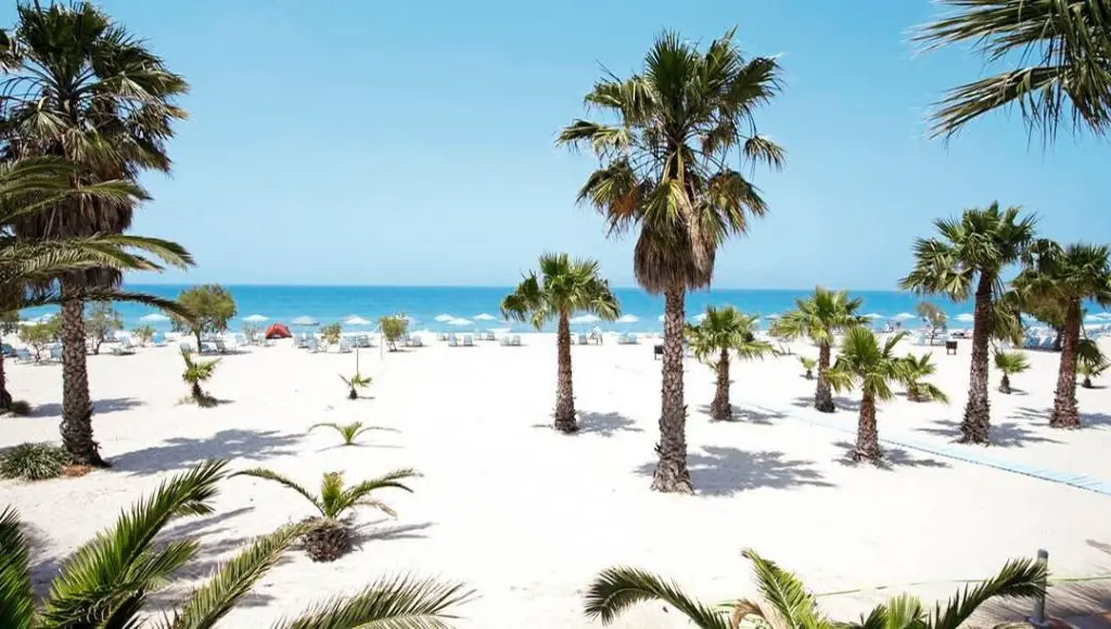 10 Hidden Beaches in Kos You Must Visit in 2025 - Gallery Image 6