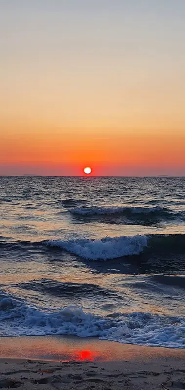 TamTam Beach