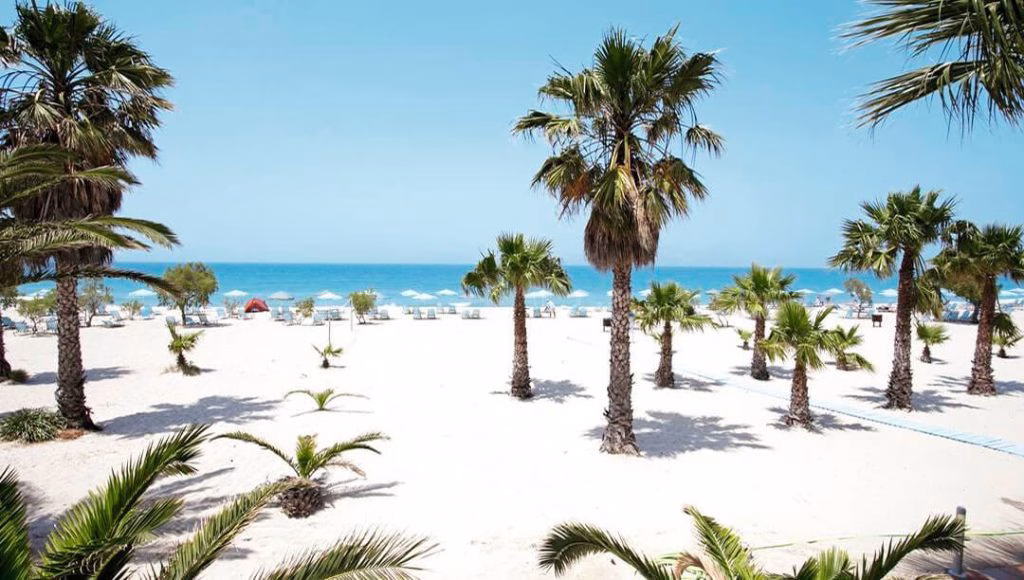 10 Hidden Beaches in Kos You Must Visit in 2025 - Gallery Image 6