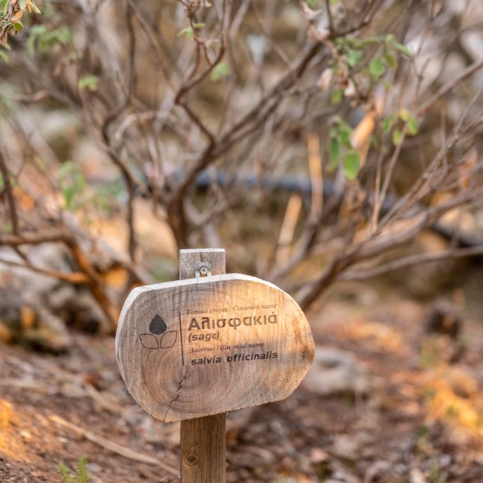 Gallery image for Natural Park